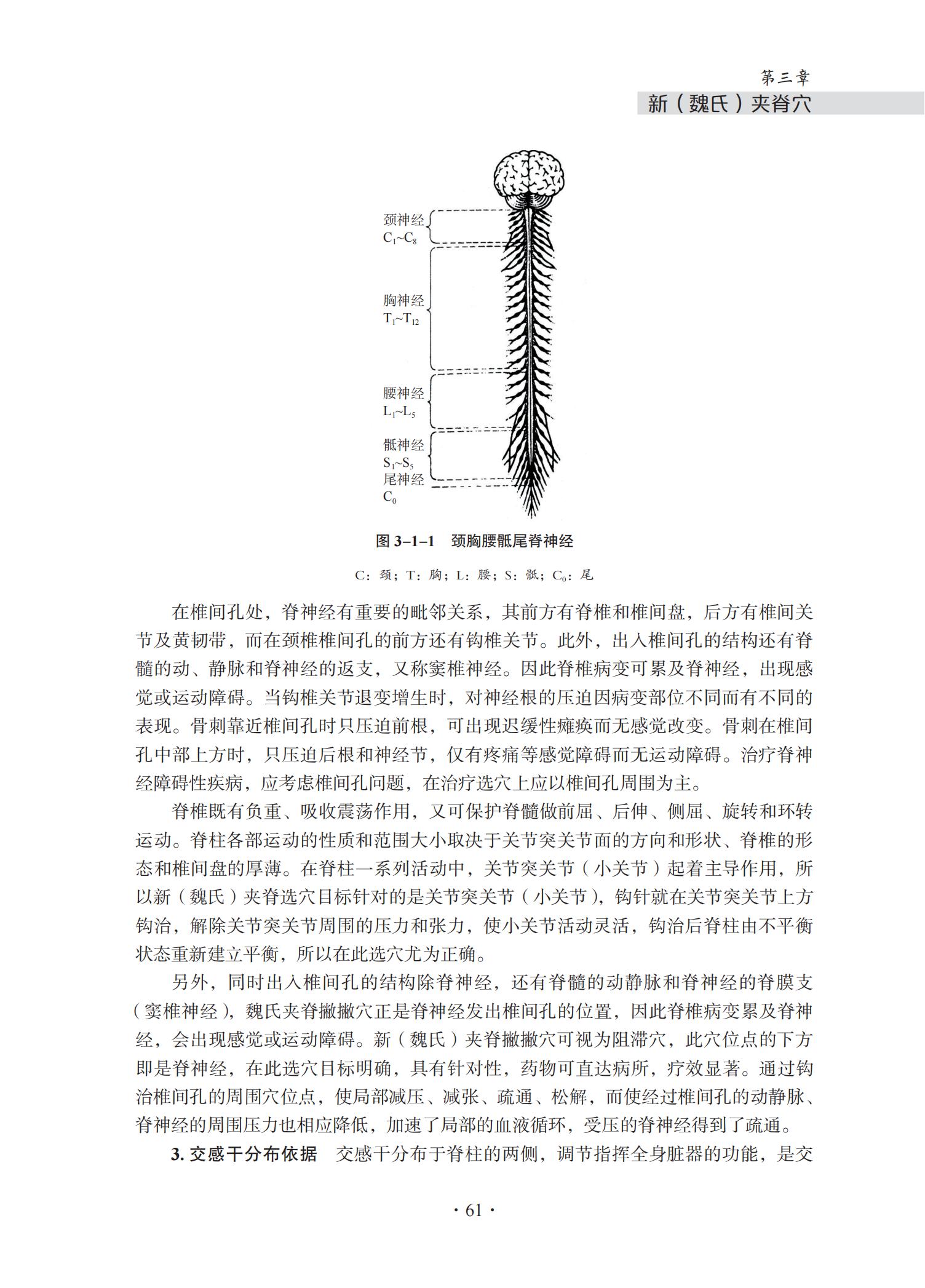 中华钩活术基础理论与专用钩鍉针-4J-2022-1-14_76.jpg