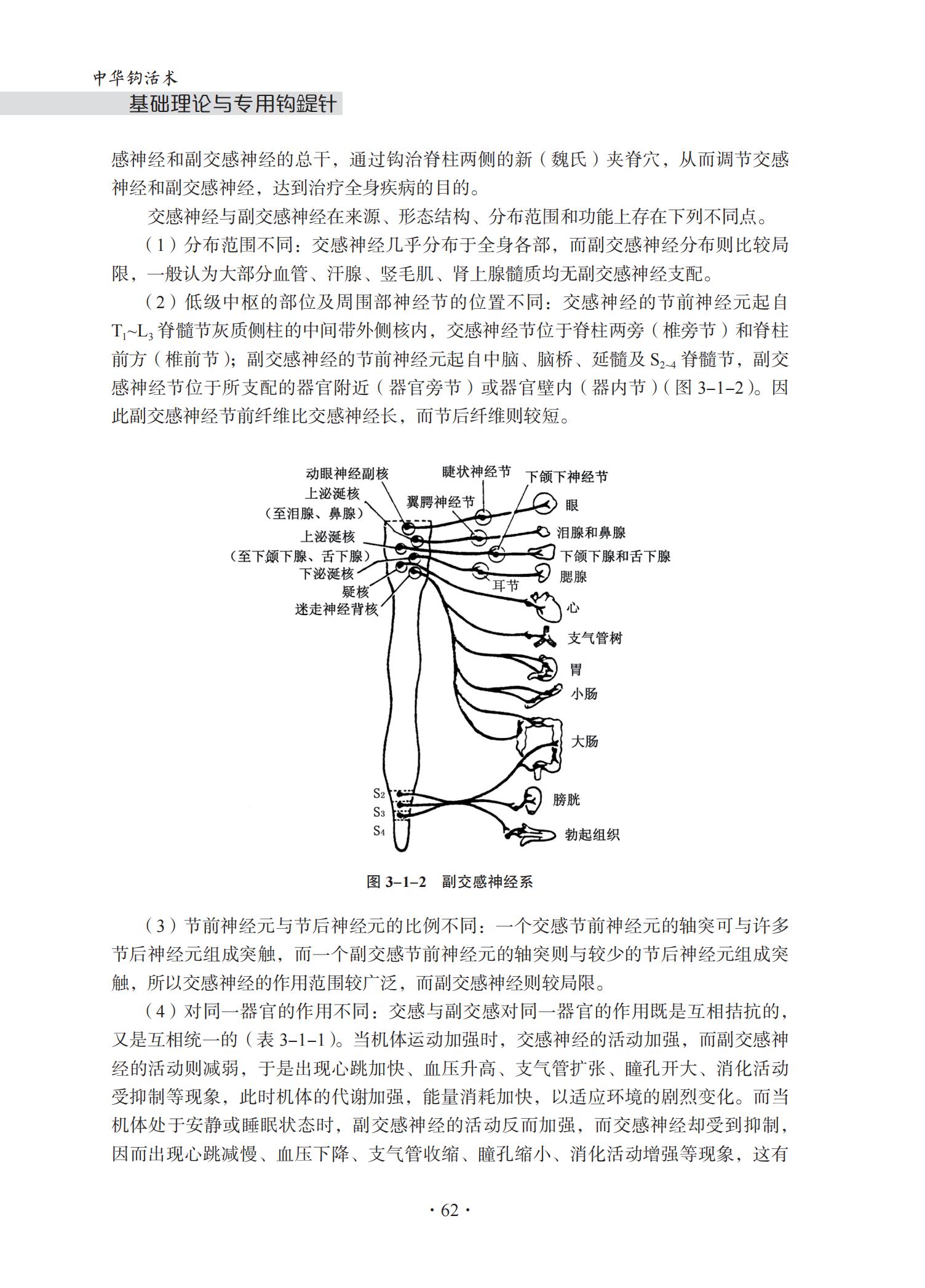 中华钩活术基础理论与专用钩鍉针-4J-2022-1-14_77.jpg