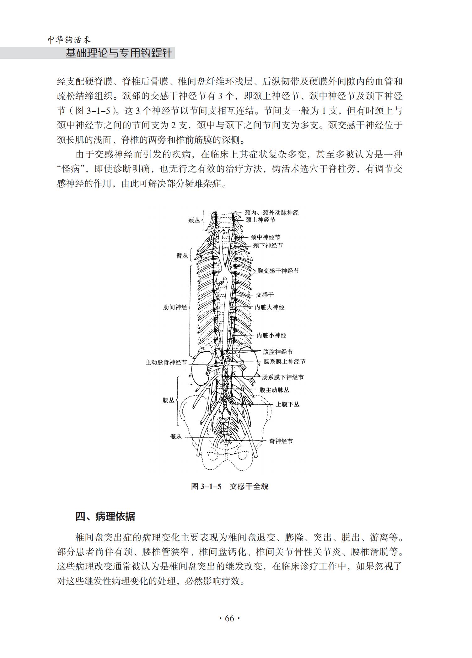 中华钩活术基础理论与专用钩鍉针-4J-2022-1-14_81.jpg