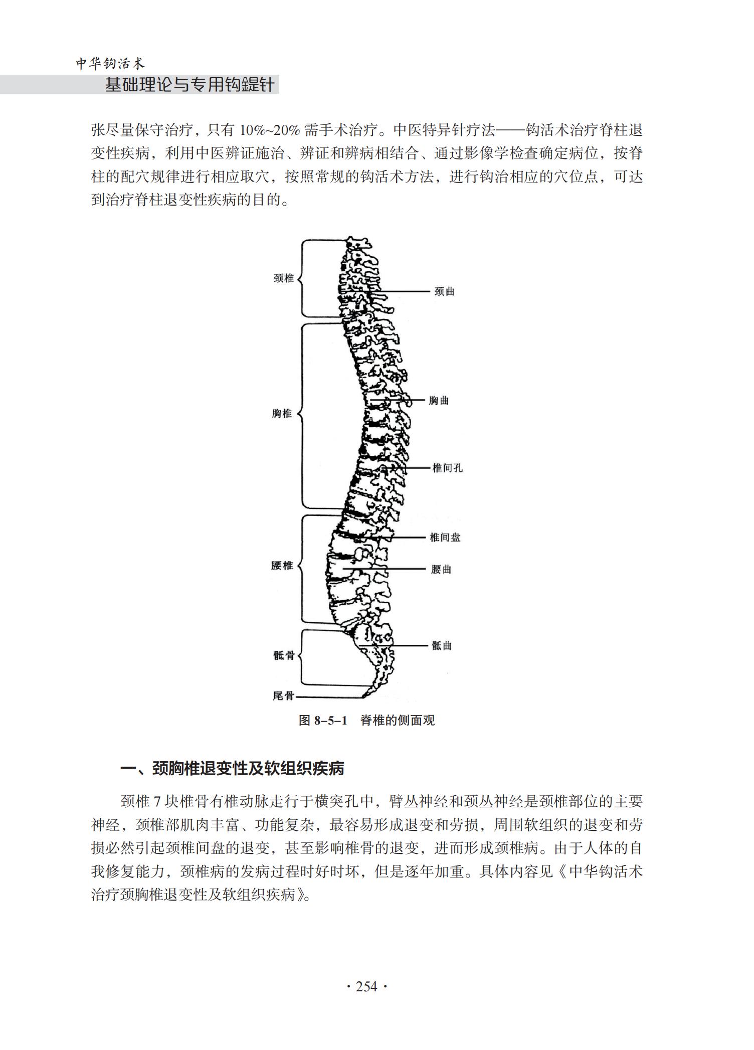 中华钩活术基础理论与专用钩鍉针-4J-2022-1-14_269.jpg